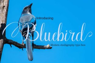 Bluebird: A Delicate and Stunning Script Font with Romantic Swashes