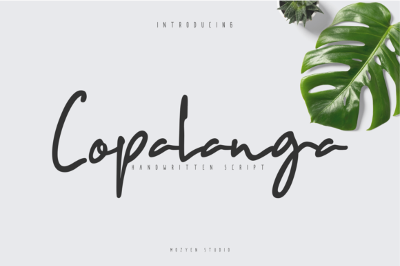 Copalanga: The Light and Charming Script with a Cute Feel