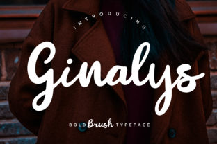 Ginalys: Where Personality Meets Print in a Chunky Script