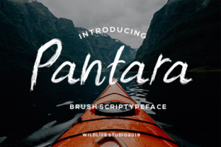Pantara: The Signature Dry Brush Script for Modern Design