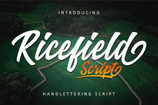 Ricefield: Bold Script with Vintage Charm