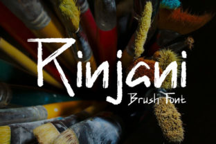 Understanding Rinjani: A Bold and Expressive Script Font